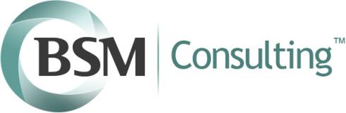 BSM Consulting